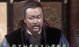 真假包青天 真假包青天