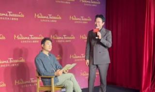 厉总你找错夫人了短剧 厉总你找错夫人了短剧